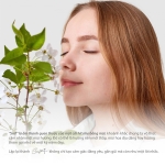 Bí ẩn đằng sau cái tên SnifSnif