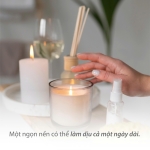 Bí ẩn đằng sau cái tên SnifSnif