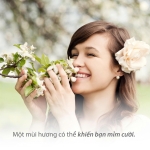 Bí ẩn đằng sau cái tên SnifSnif